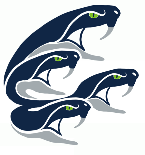 Seattle Seahawks Halloween Logo iron on transfers
